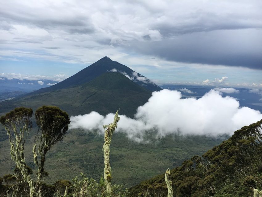 Mt Gahinga and Mt Sabyinyo viewed from Sabyinyo volcano